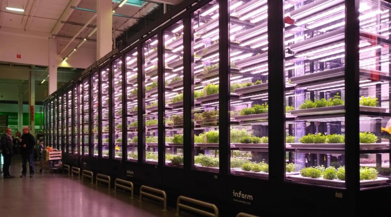 Infarm tops up Series C to $270m, moves into mushrooms, tomatoes