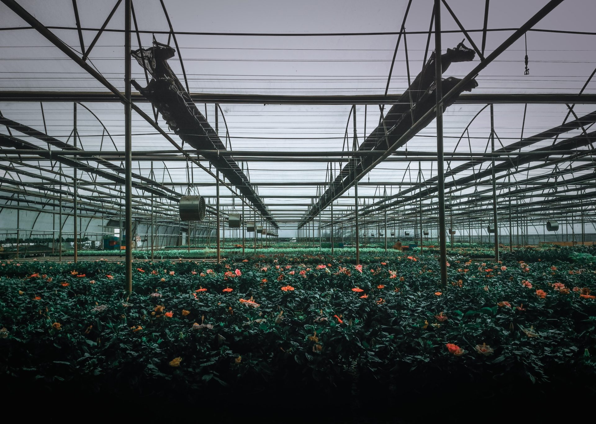 Source makes greenhouses smarter to secure the future of food supply