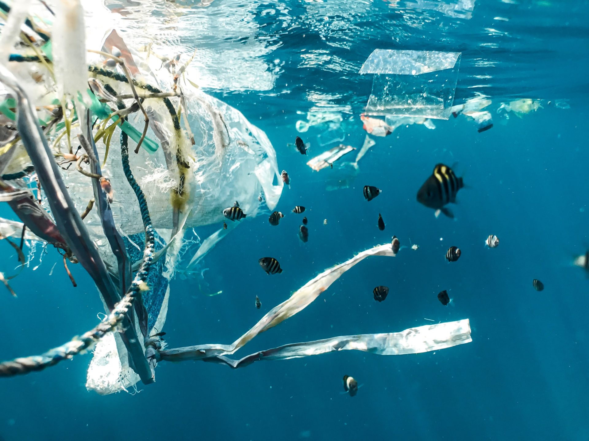 8 inspiring innovations tackling plastic pollution