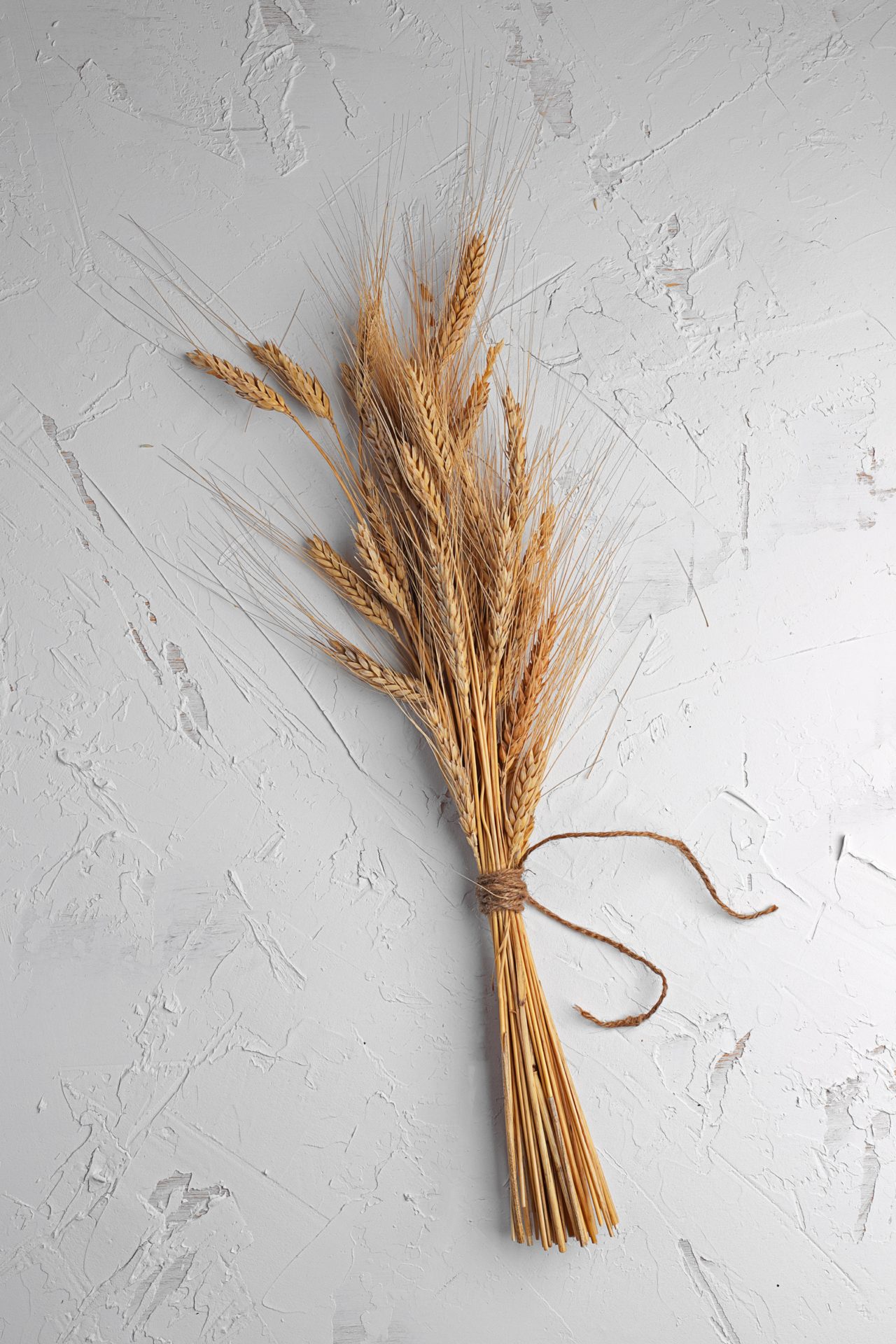 Infarm’s indoor wheat suggests we re-examine the realities of vertically-farmed commodities