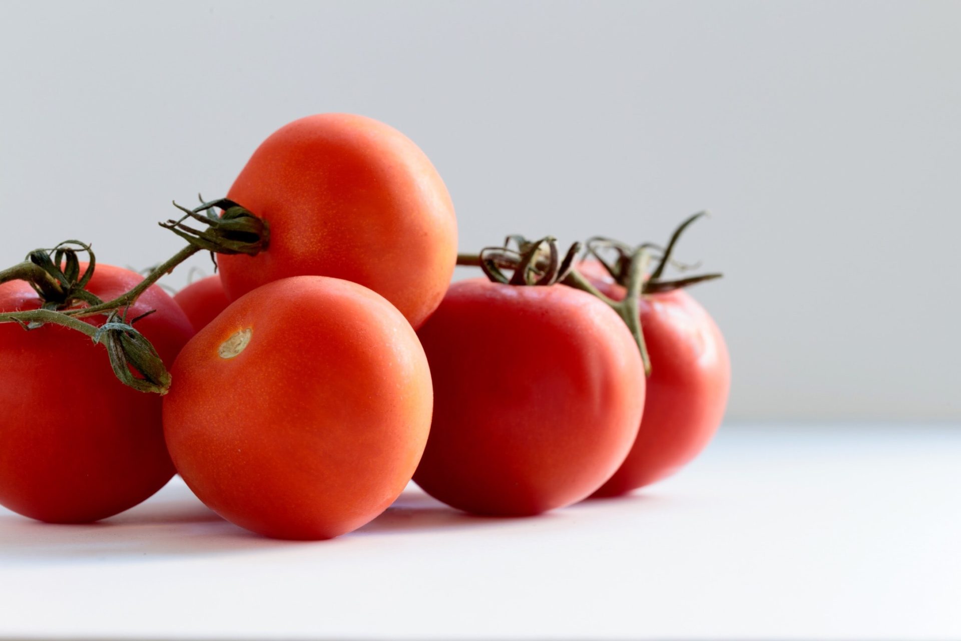 iUNU report outlines catastrophic loss from the tomato brown rugose fruit virus (ToBRFV)