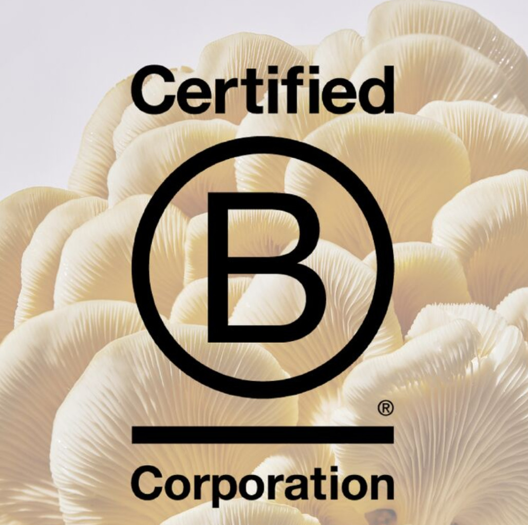 Smallhold became B Corp Certified